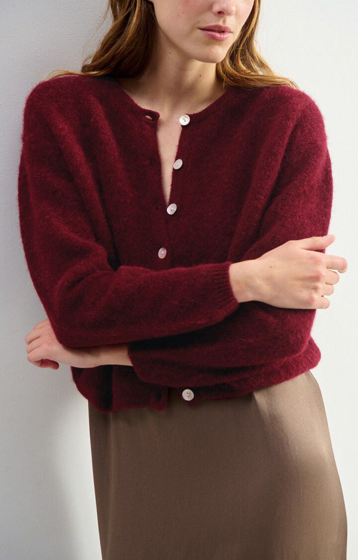 Vito Cardigan in Cherry Tree Melange by American Vintage
