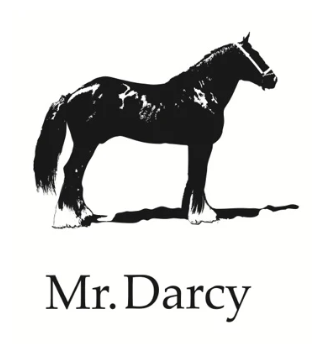 Mister Darcy