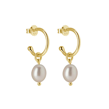 Load image into Gallery viewer, Pearl Drop Hoops in Gold by Murkani
